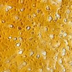 Amnesia Haze Shatter