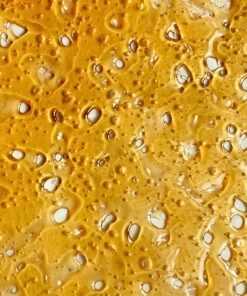Amnesia Haze Shatter