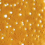 Sundae Driver Shatter