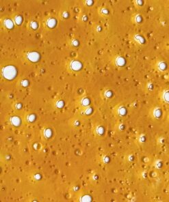 Sundae Driver Shatter